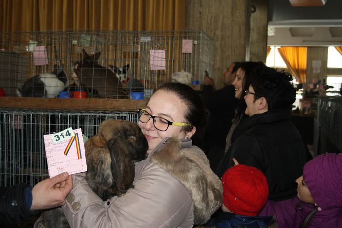 IMG_0418 - 0 EXPOZITIA DE IEPURI 7-9 FEBRUARIE 2014 CAMPINA