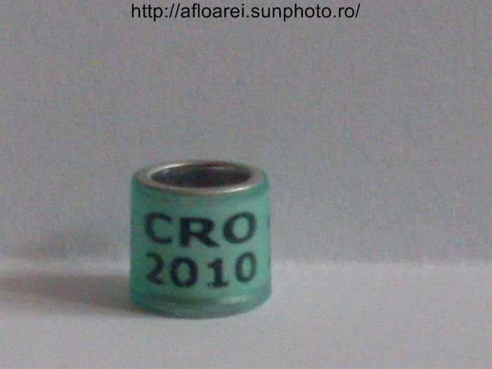 cro 2010