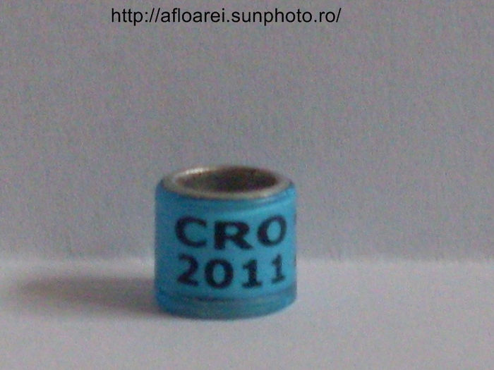 cro 2011