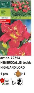 h5 - Hemerocallis