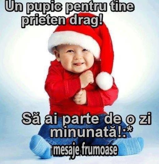 999469_227193067451534_598670472_n - HIHI CE POZE DRAGUTZE SI HAIOASE NU-I ASA