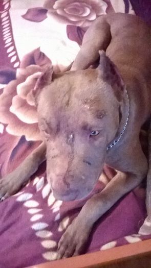 after a great fight; after a great fight
