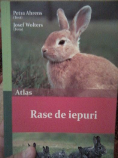  - Carti despre iepuri