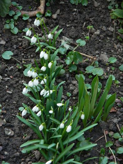 DSCN2057 seria a doua