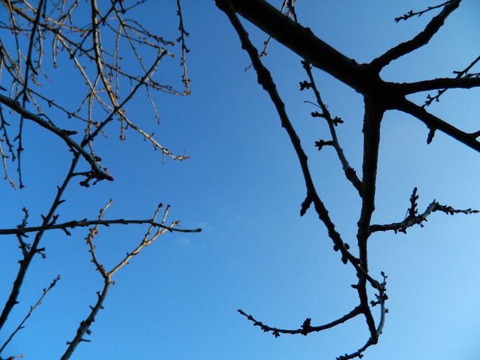 DSCN2097 - FEBRUARIE 2014