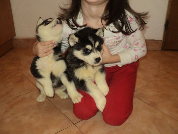 DSC03264; la 5 saptamni
