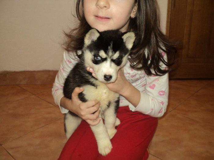 DSC03266; la 5 saptamni
