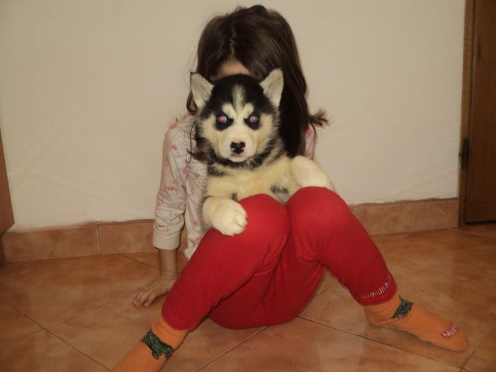 DSC03276; la 5 saptamni
