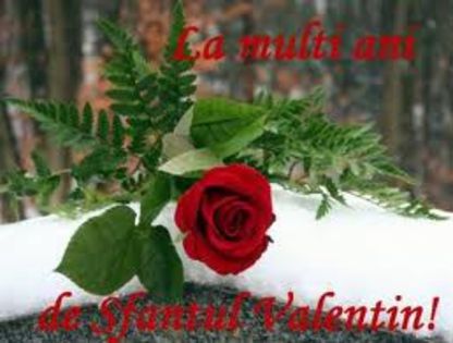 images (17) - LA MULTI ANI DE SF VALENTIN-LA MULTI ANI TUTROR INDRAGOSTITILOR SI CELOR CU NUMELE DE VALI