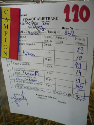 P1060122 - Expozitie GHERLA 2014