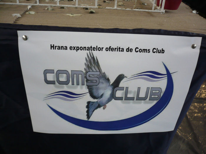 P1060168 - Expozitie GHERLA 2014