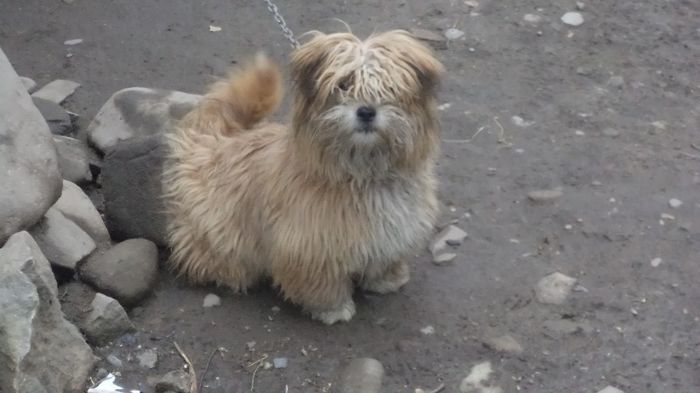 DSC05093 - PAZNICI CREDINCIOSI LA DATORIE