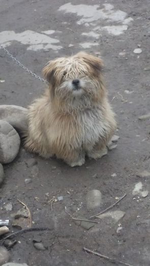 DSC05095 - PAZNICI CREDINCIOSI LA DATORIE