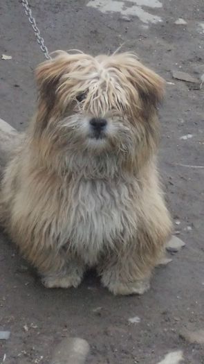 BELA la 6 luni - PAZNICI CREDINCIOSI LA DATORIE