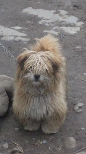 DSC05097 - PAZNICI CREDINCIOSI LA DATORIE