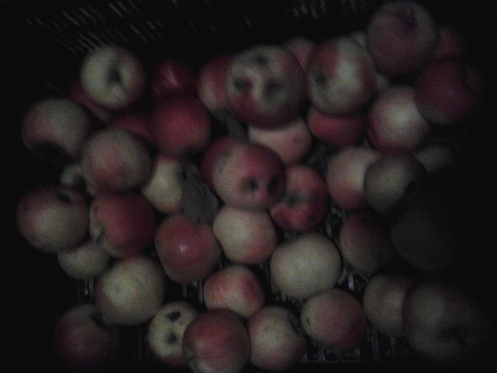 mere in cantitati mici - Hrana iepurilor