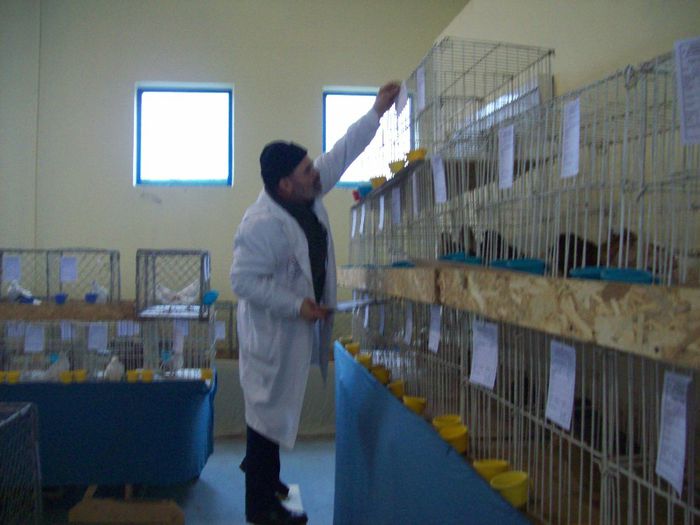 100_4507 - Expozitiea Asociatiei Judetene a Crescatorilor de Pasari si Animale Mici SATU MARE  2014