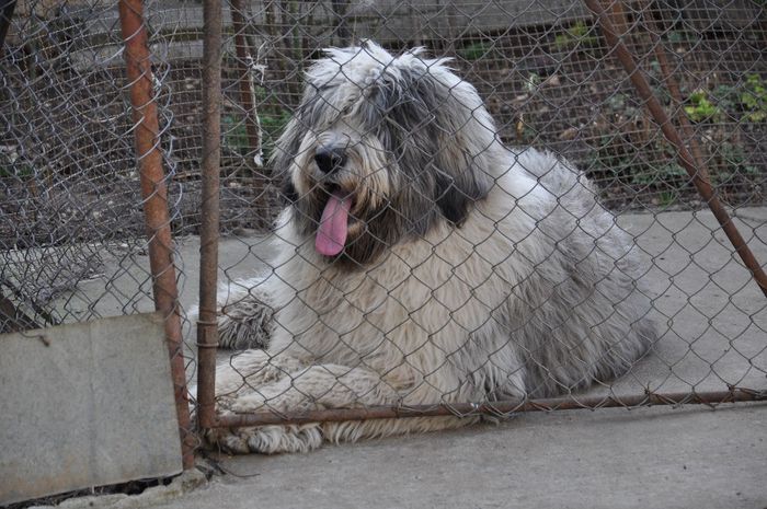 DSC_0561; 8 LUNI SI 23 ZILE
