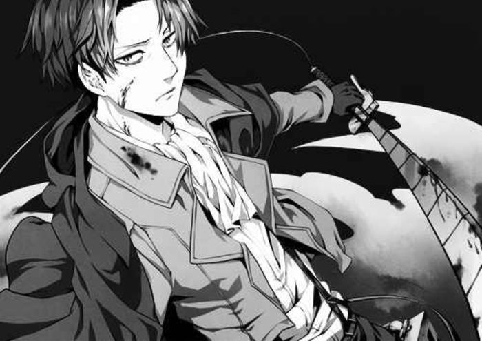 tumblr_static_levi2