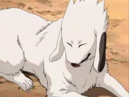  - Akamaru