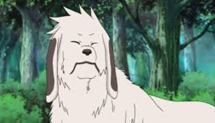  - Akamaru