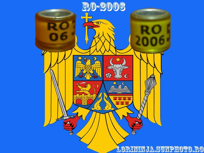 RO-2006 - INELE COLECTIE