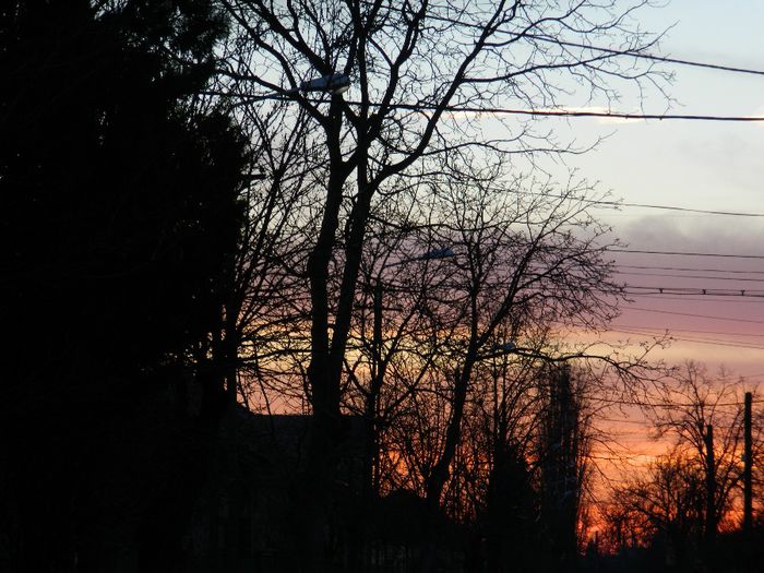 DSCN2209 - FEBRUARIE 2014