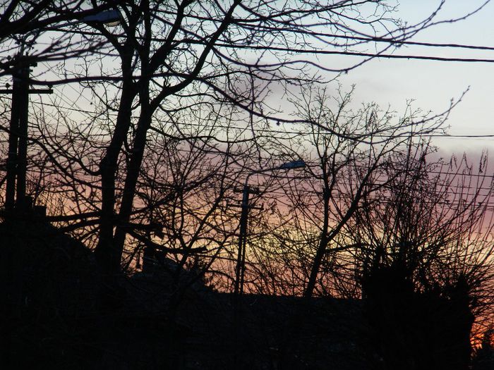 DSCN2214 - FEBRUARIE 2014