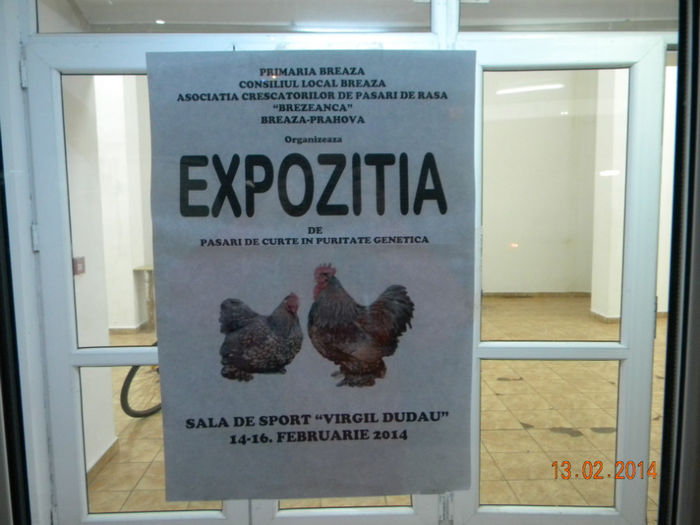 DSCN2822 - MARANS  ALB SI BARAT - EXPO  BREAZA 2014