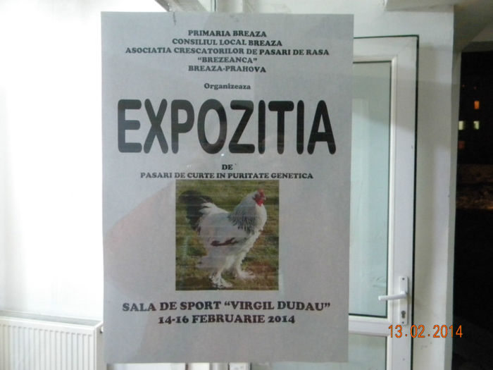DSCN2823 - MARANS  ALB SI BARAT - EXPO  BREAZA 2014