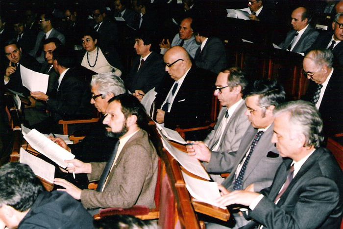 In Camera Deputatilor, dezbaterea in plen a unei legi, 1991