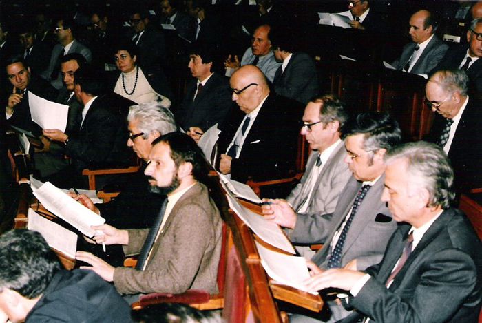 In Camera Deputatilor, dezbaterea in plen a unei legi, 1991 - 1991