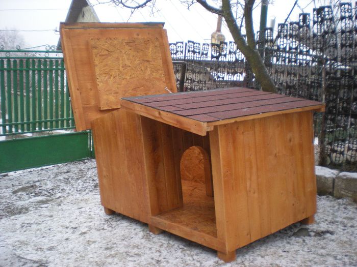 cusca cotet pentru caine (10)