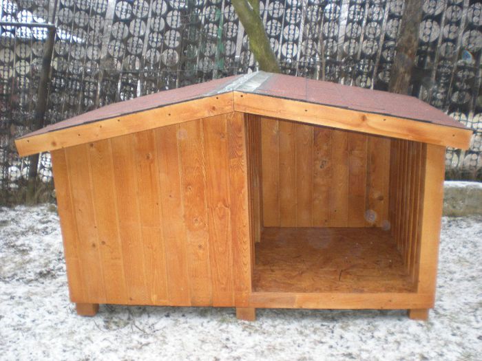 cusca cotet pentru caine (2)