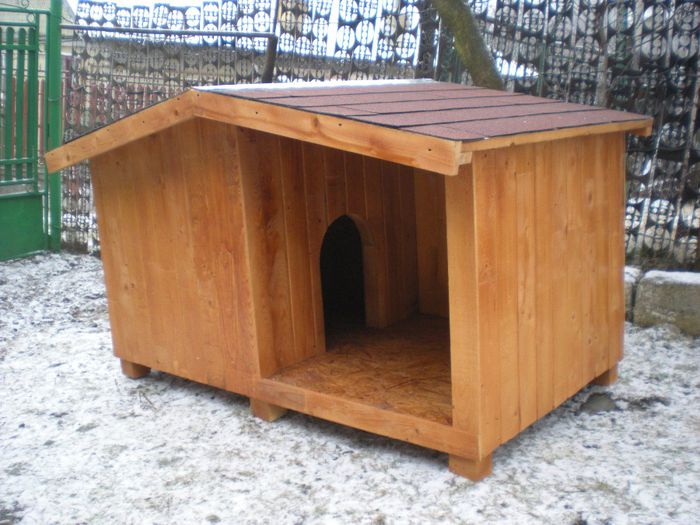 cusca cotet pentru caine (5)