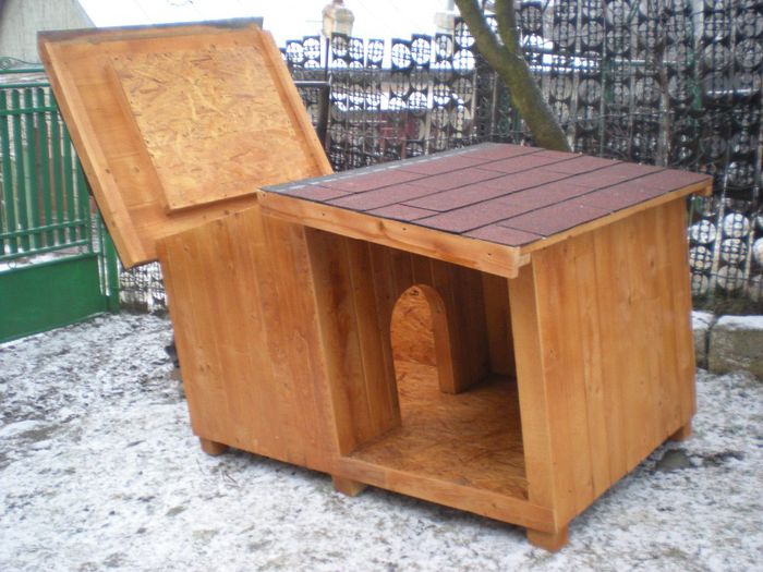 cusca cotet pentru caine (8)