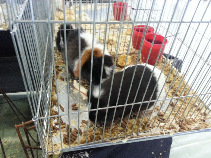 2014-02-15 11.57.03