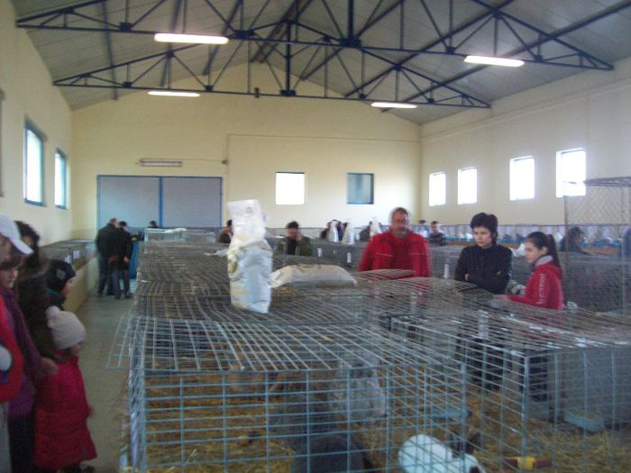 100_4512 - Expozitiea Asociatiei Judetene a Crescatorilor de Pasari si Animale Mici SATU MARE  2014