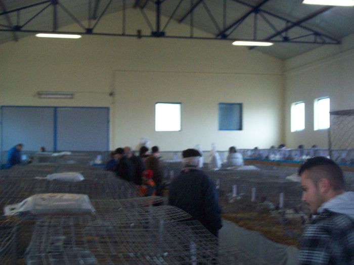 100_4543 - Expozitiea Asociatiei Judetene a Crescatorilor de Pasari si Animale Mici SATU MARE  2014