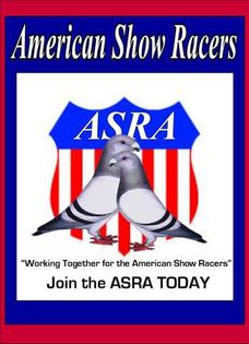 AMERICAN SHOW RACERS - AMERICAN SHOW RACER