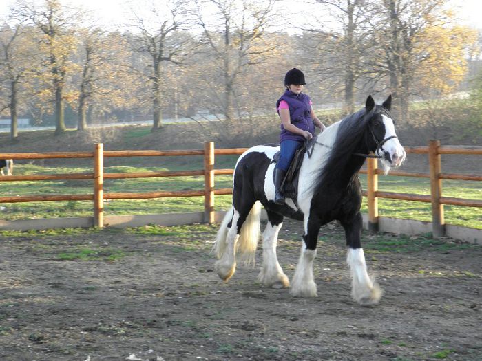 PB091293 - VANZARI CAI 2