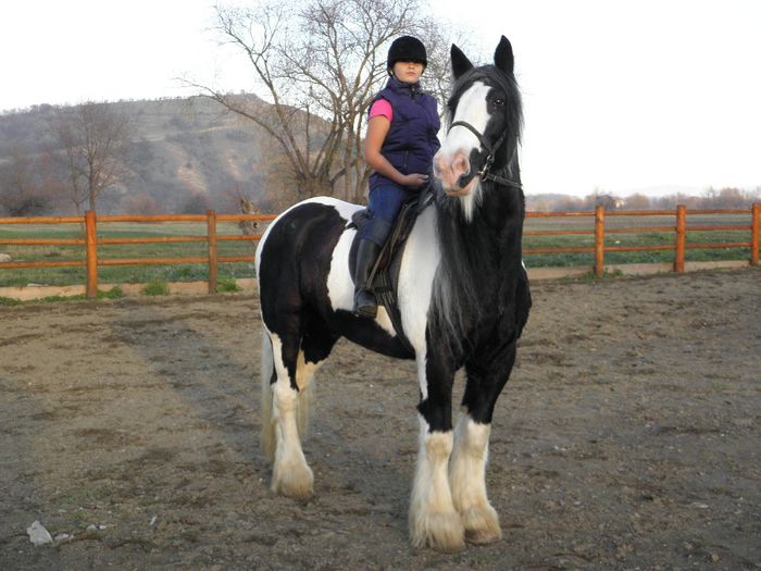 PB091324 - VANZARI CAI 2