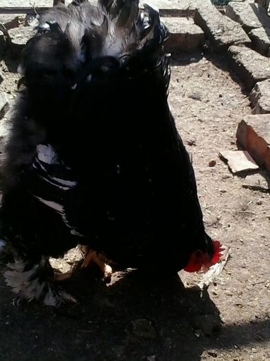 20140216_123857
