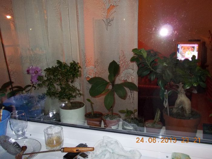 DSCN3126