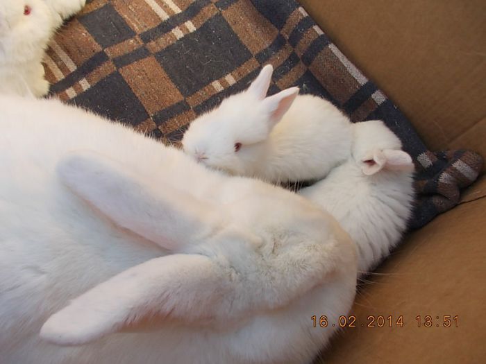 Picture 087