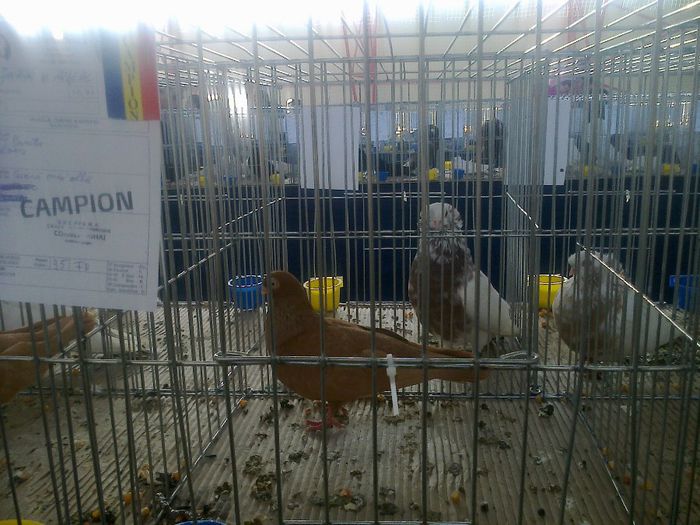 MS2912 - EXPO LUDUS 14-16 FEB 2014