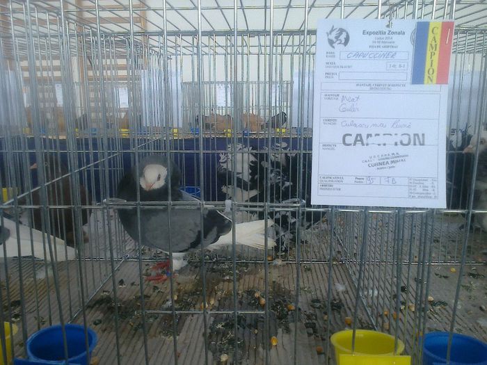 MS2930 - EXPO LUDUS 14-16 FEB 2014