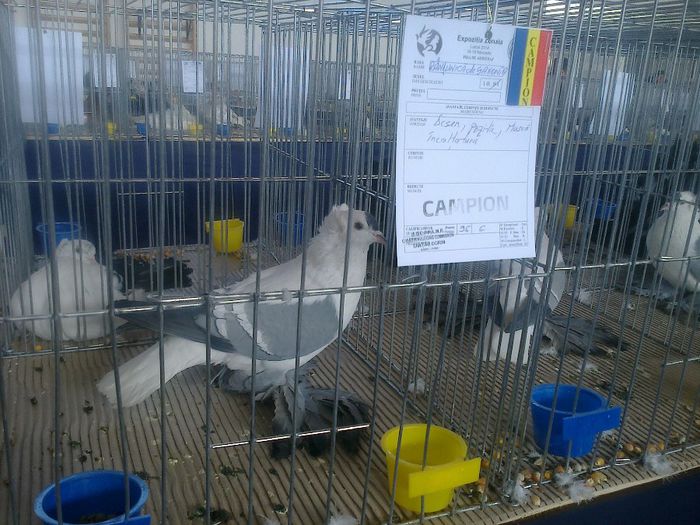 MS2940 - EXPO LUDUS 14-16 FEB 2014