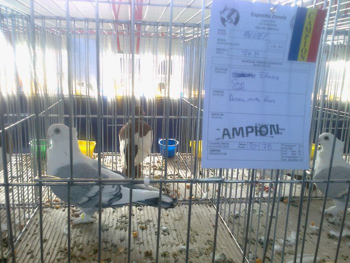 MS2949 - EXPO LUDUS 14-16 FEB 2014