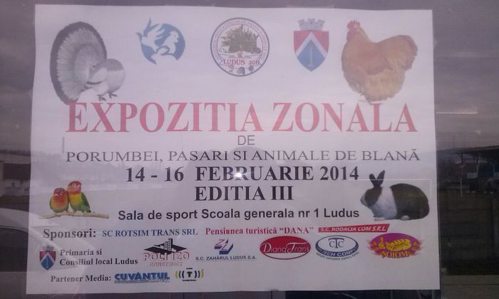 CAM01260 - EXPO LUDUS 2014